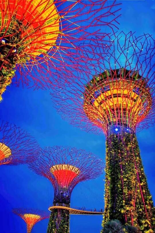 Garden by the Bay popular free tourist attraction Singapore