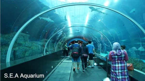 SEA aquarium Singapore