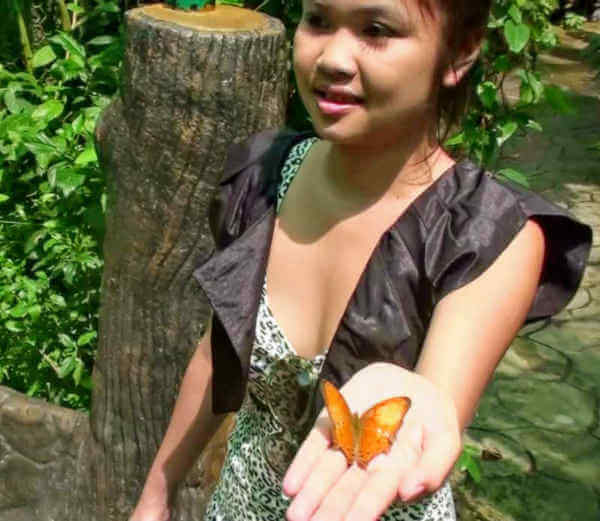 Butterfly garden Singapore